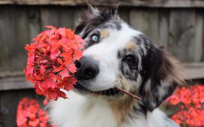 Spring Has Sprung!