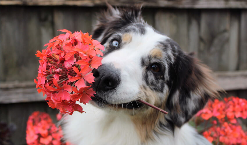 Spring Has Sprung!