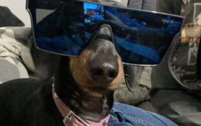 Affordable Pet Parasite Control: Keep Your Pets Happy & Healthy