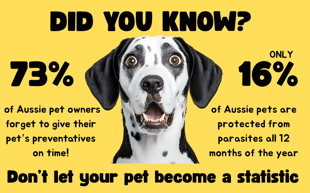 73% of Pet Owners (1)