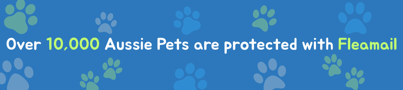 Made by Aussie Vets (800 x 250 px) (800 x 180 px) (2)